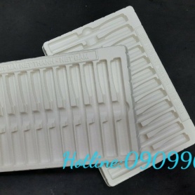 VỈ NHỰA - B12