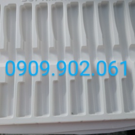 VỈ NHỰA-B12